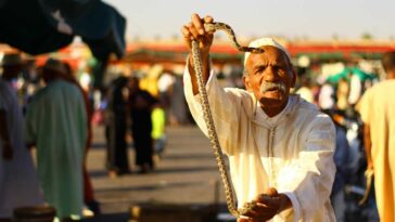 Гиды Марокко