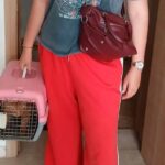 Переноска IATA для кошки перед полетом Марокко Россия