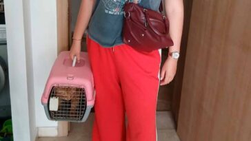 Переноска IATA для кошки перед полетом Марокко Россия